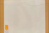Carlos Bracher (1940), Casario - Serigrafia<br>Ass. inf. direito<br>Edicao P.A.