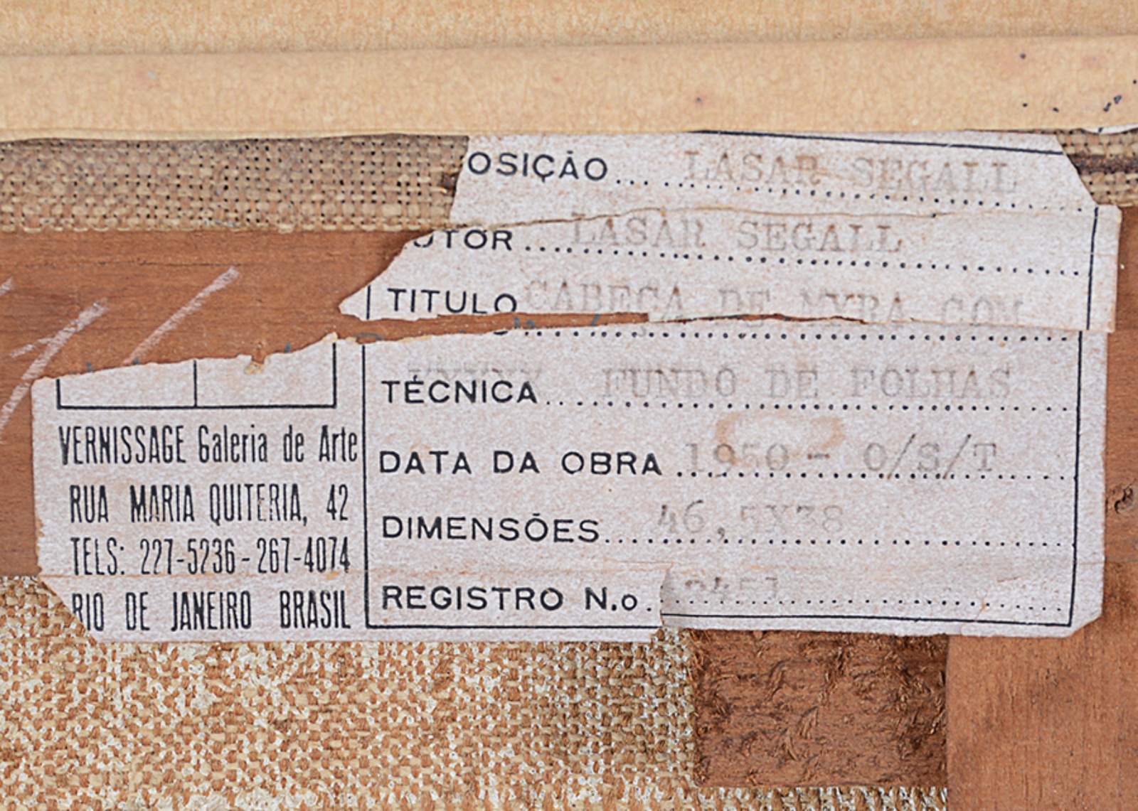 Lasar Segall (1891-1957), Cabeça de Myra com  fundo de folhas, 1950 - foto 5 de 6