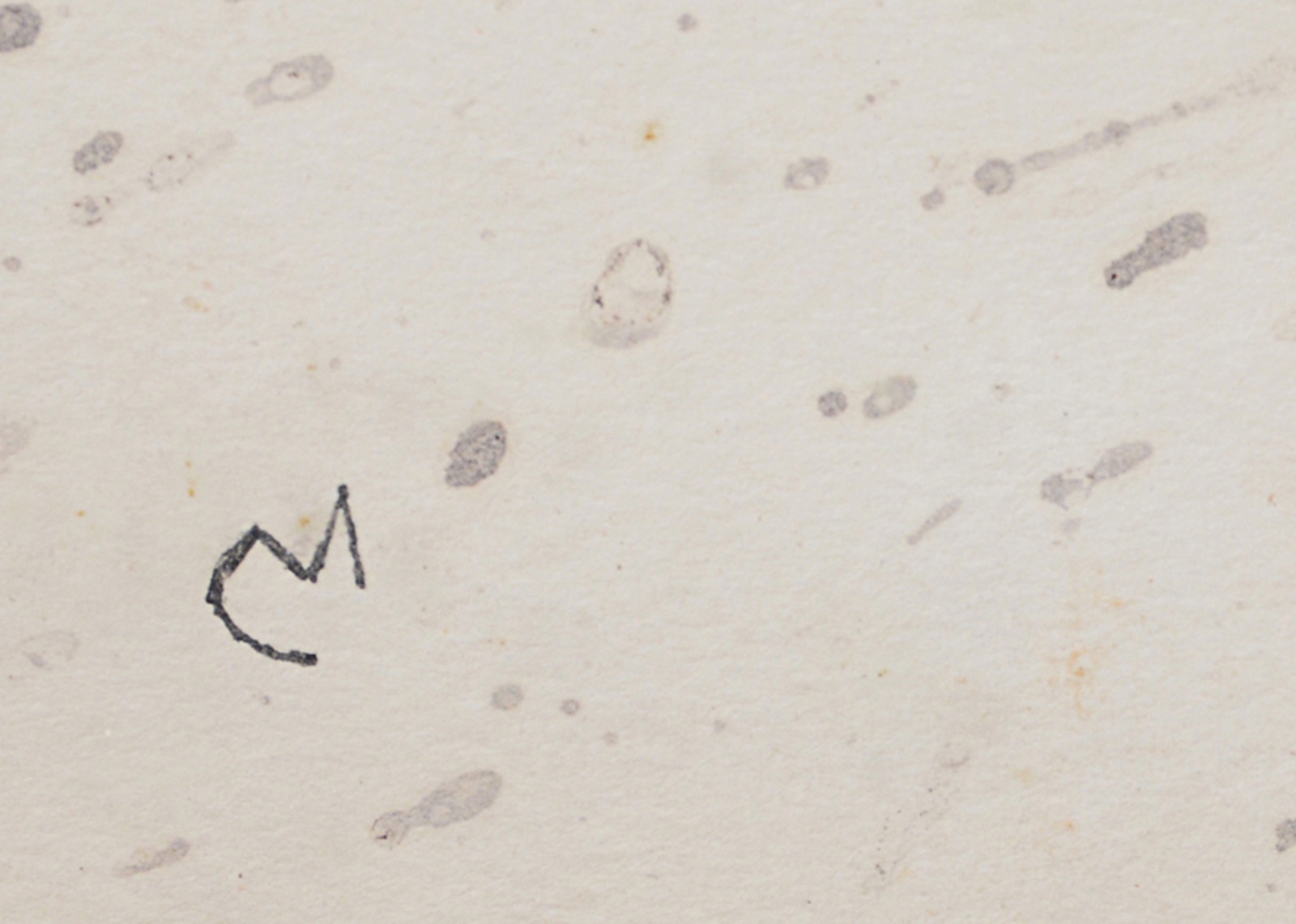 Joan Miró (1893-1983), Sem título, 1960 - foto 6 de 9
