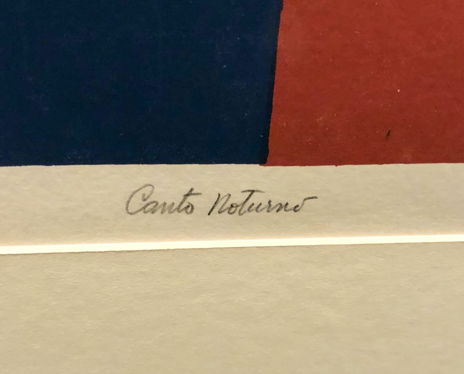 Roberto Burle Marx (1909-1994), Canto noturno, 1991 - foto 4 de 6
