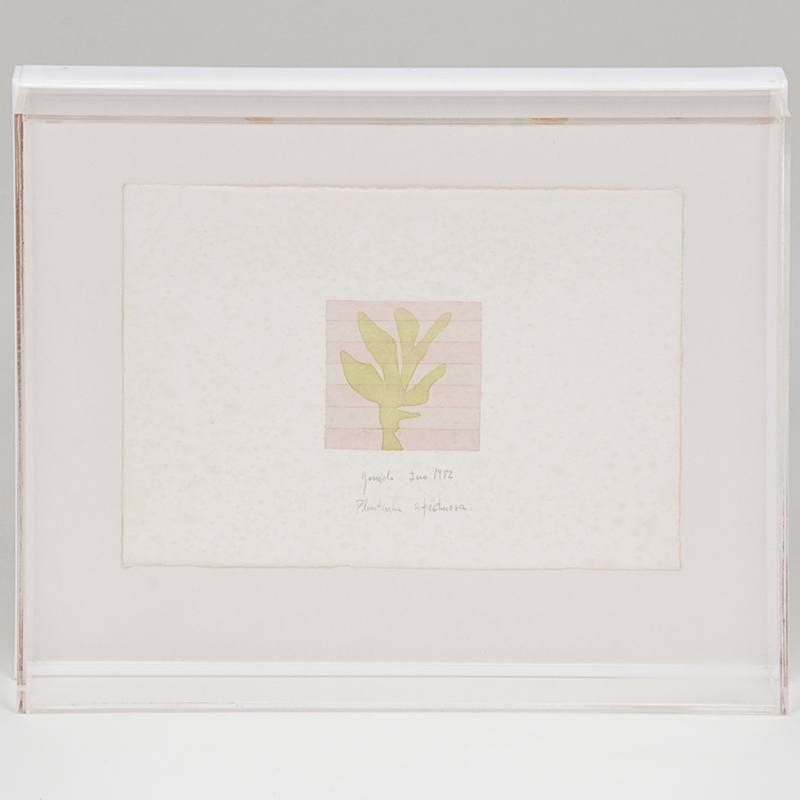Gonçalo Ivo (1958), Plantinha afectuosa,1982 - foto 1 de 4