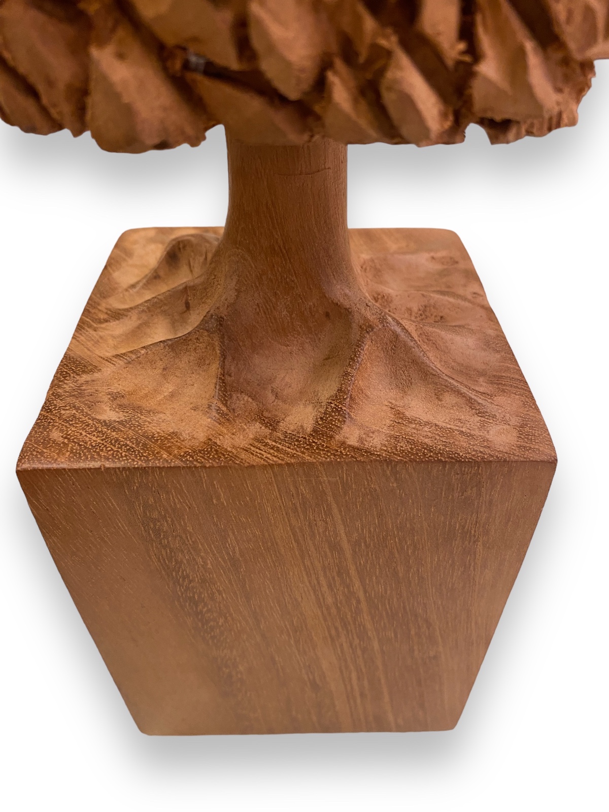 José Bento (1962), Arvore - foto 5 de 6