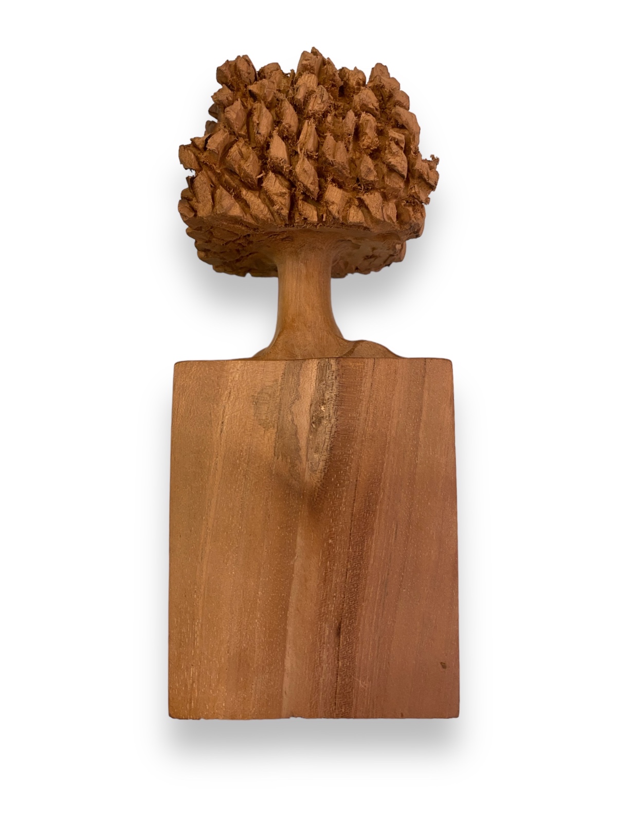 José Bento (1962), Arvore - foto 4 de 6