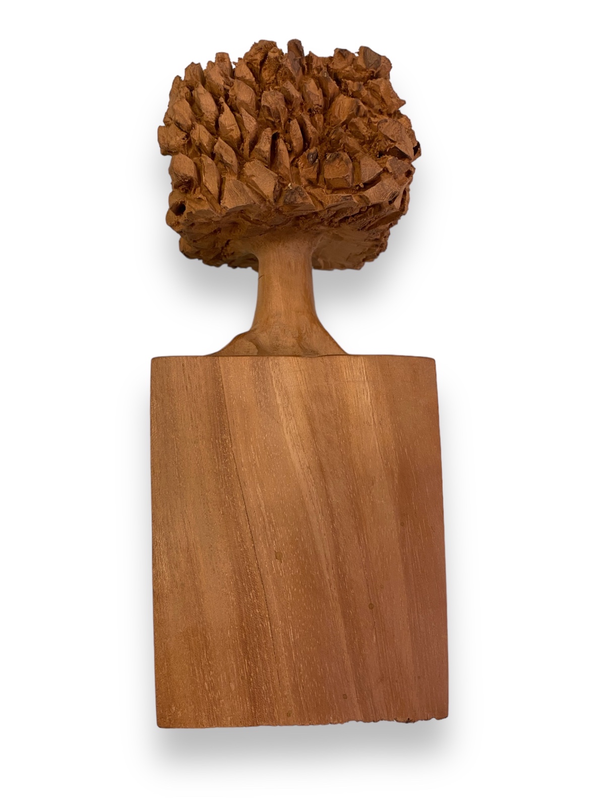 José Bento (1962), Arvore - foto 2 de 6