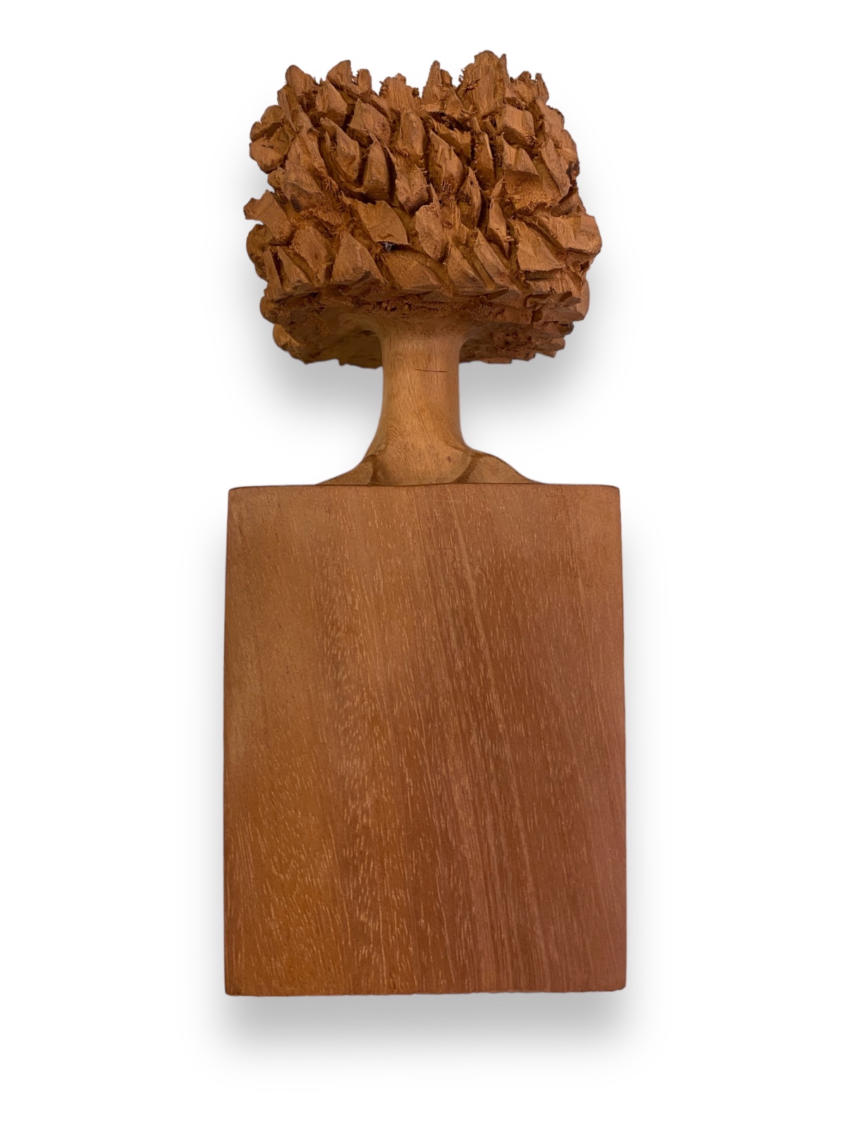 José Bento (1962), Arvore - foto 1 de 6