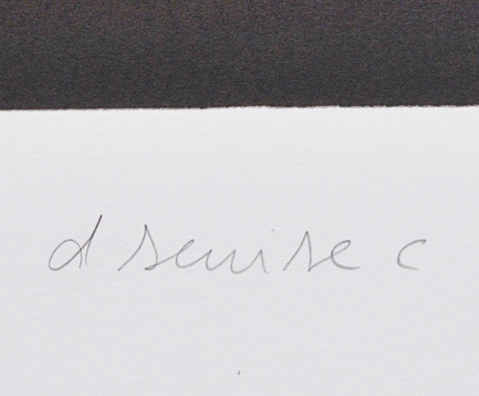 Daniel Senise (1955), Fogo Fátuo, 1993 - foto 2 de 2