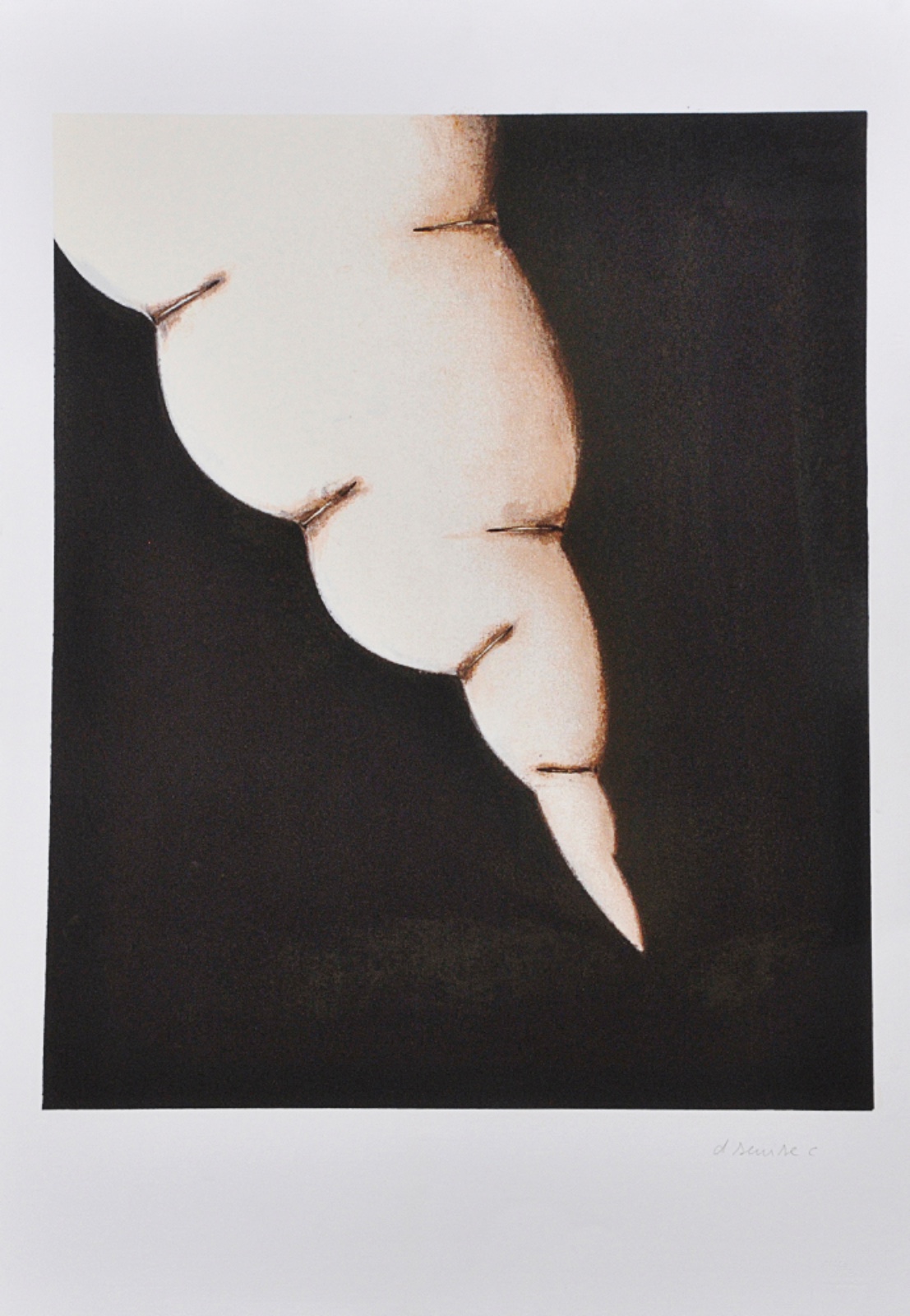 Daniel Senise (1955), Fogo Fátuo, 1993 - foto 1 de 2