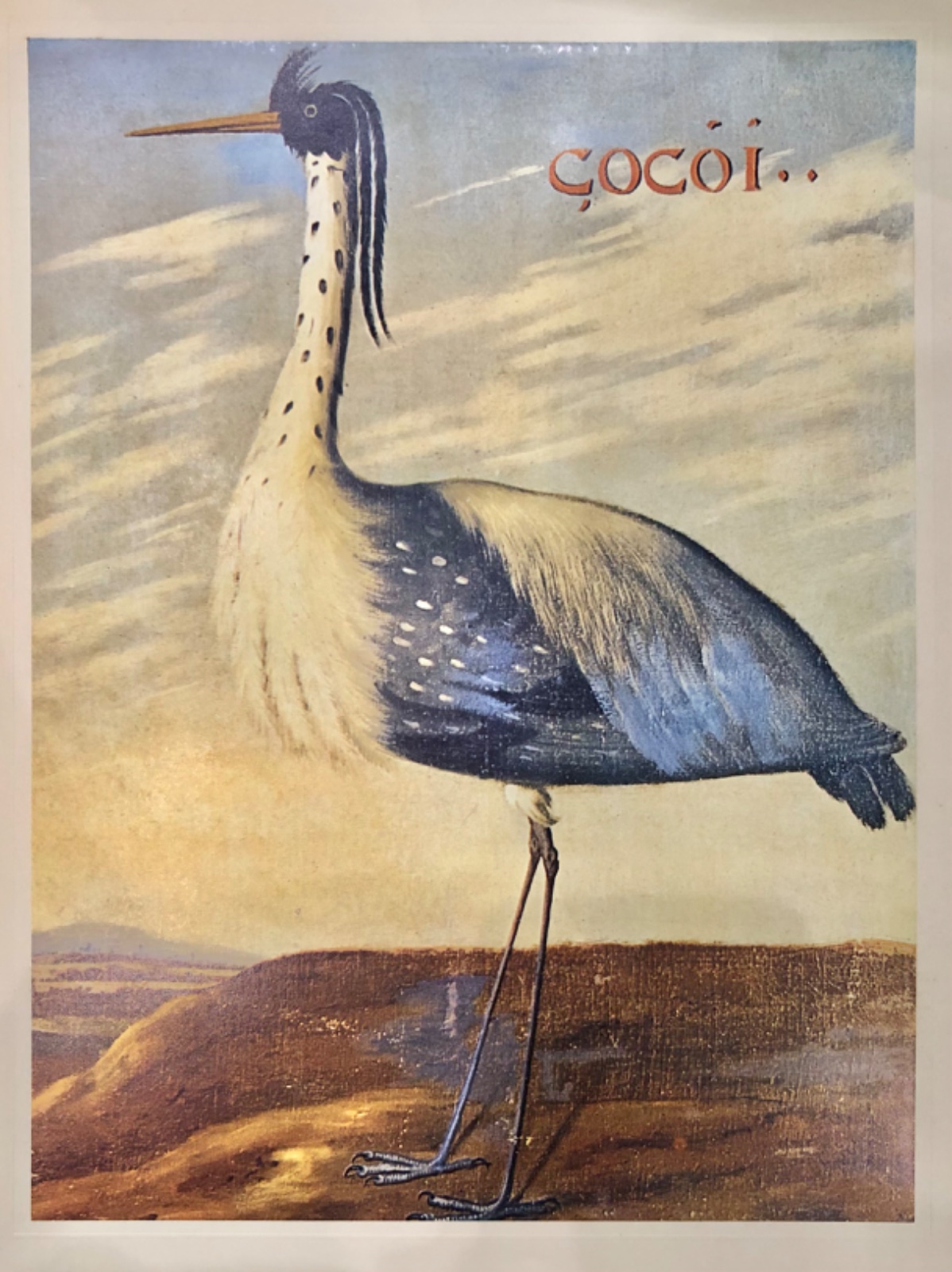 Birds of Brazil, 1970 - foto 5 de 7