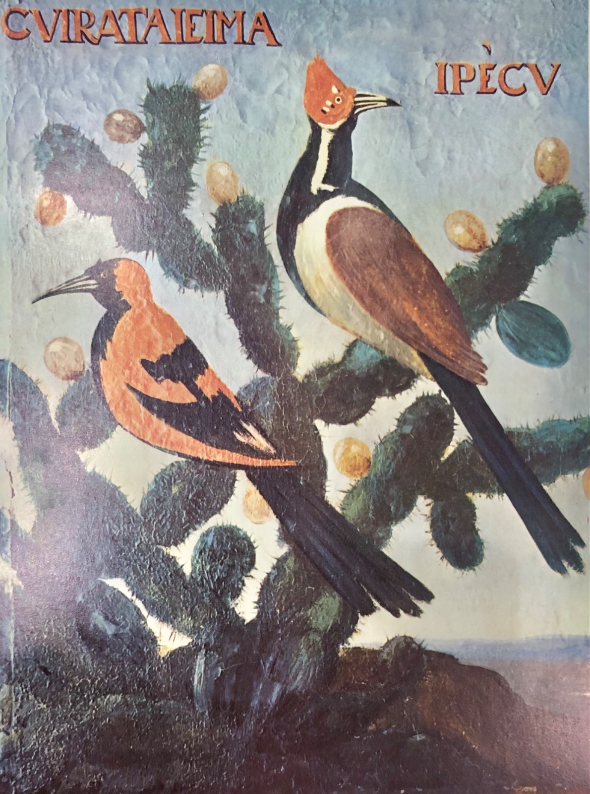 Birds of Brazil, 1970 - foto 7 de 7