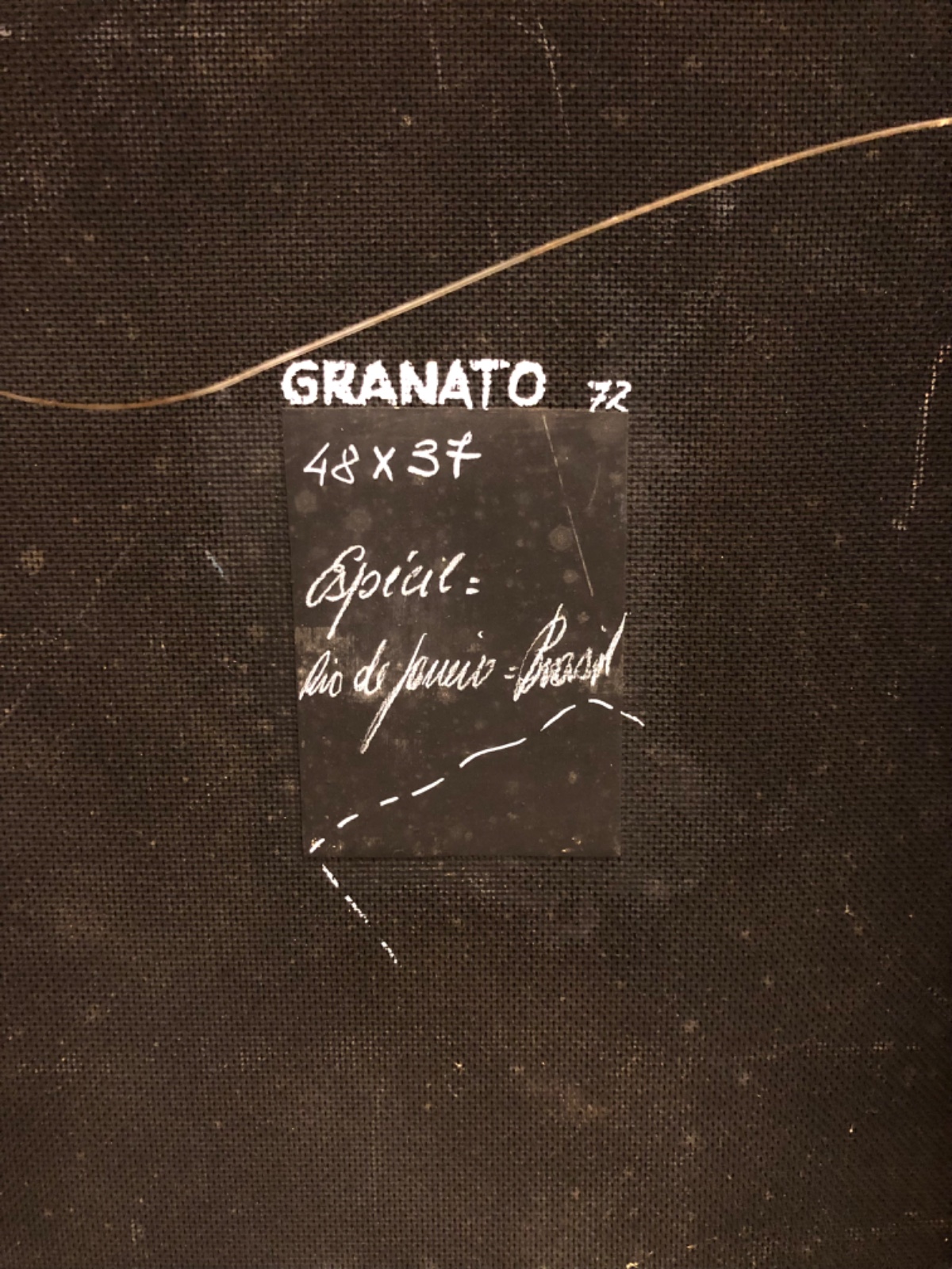 Ivald Granato (1949-2016), Especíe, 1973 - foto 3 de 4