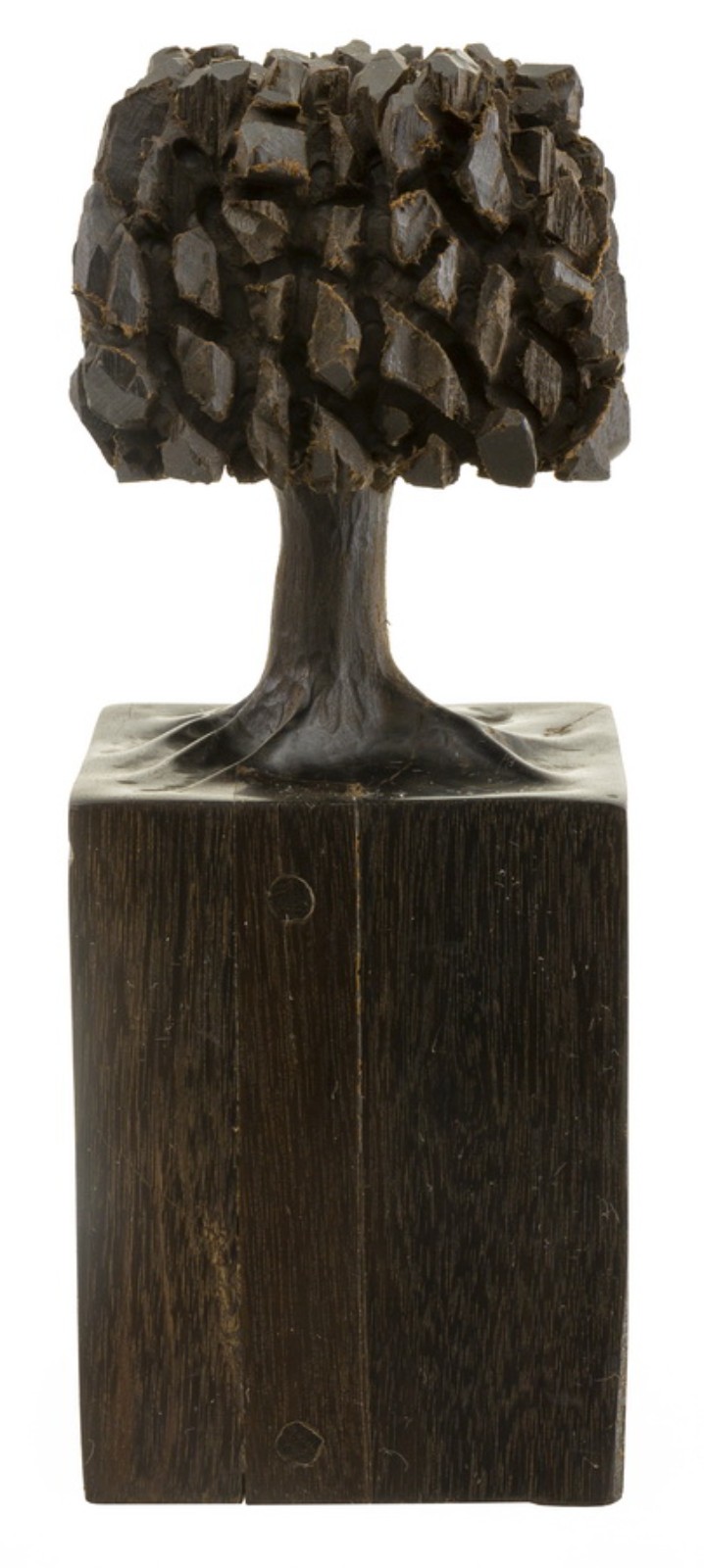 José Bento (1962), Árvore - foto 1 de 7