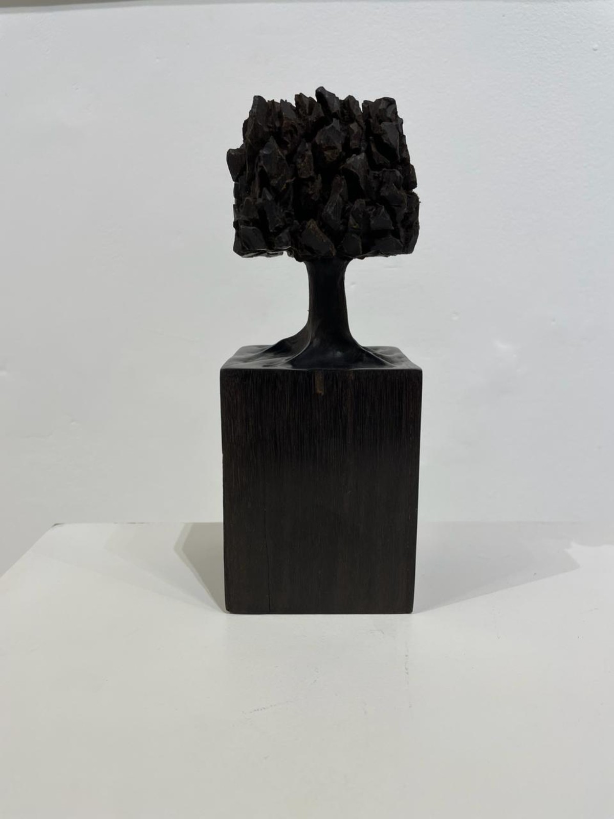 José Bento (1962), Árvore - foto 2 de 7