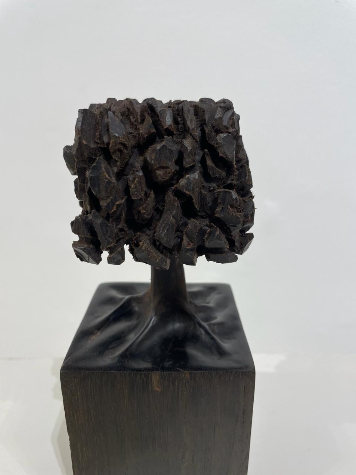 José Bento (1962), Árvore - foto 4 de 7