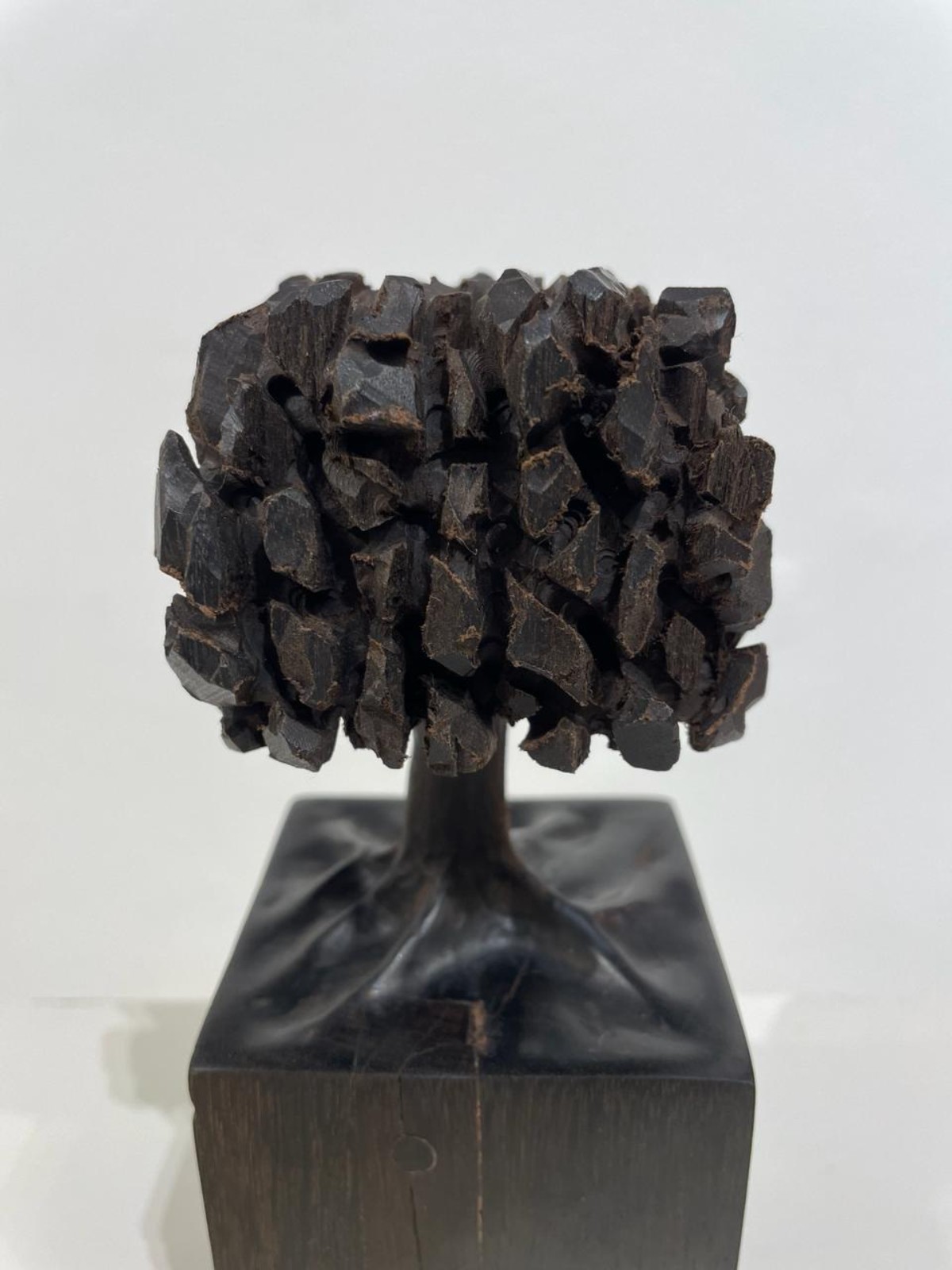 José Bento (1962), Árvore - foto 5 de 7