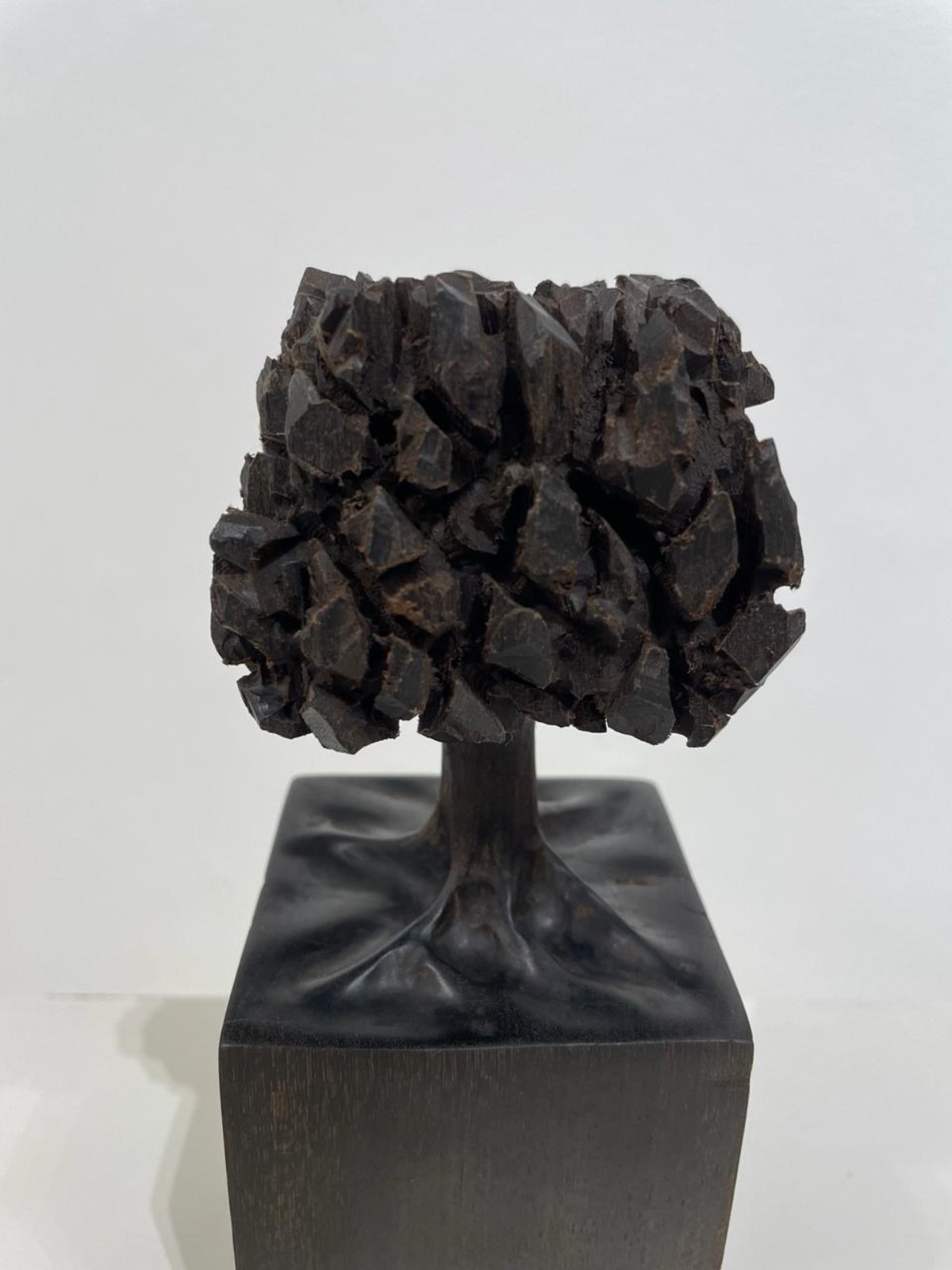 José Bento (1962), Árvore - foto 6 de 7