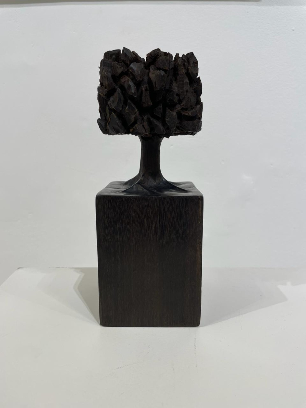 José Bento (1962), Árvore - foto 3 de 7