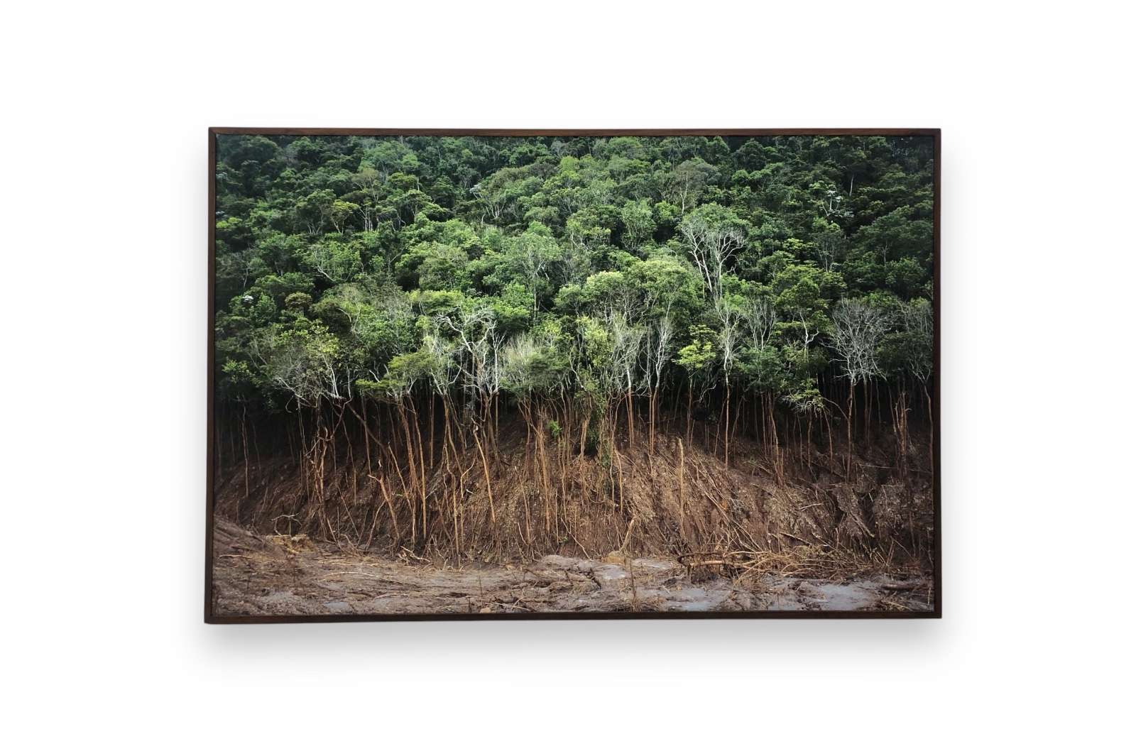 Paisagem de Mariana. - foto 2 de 3