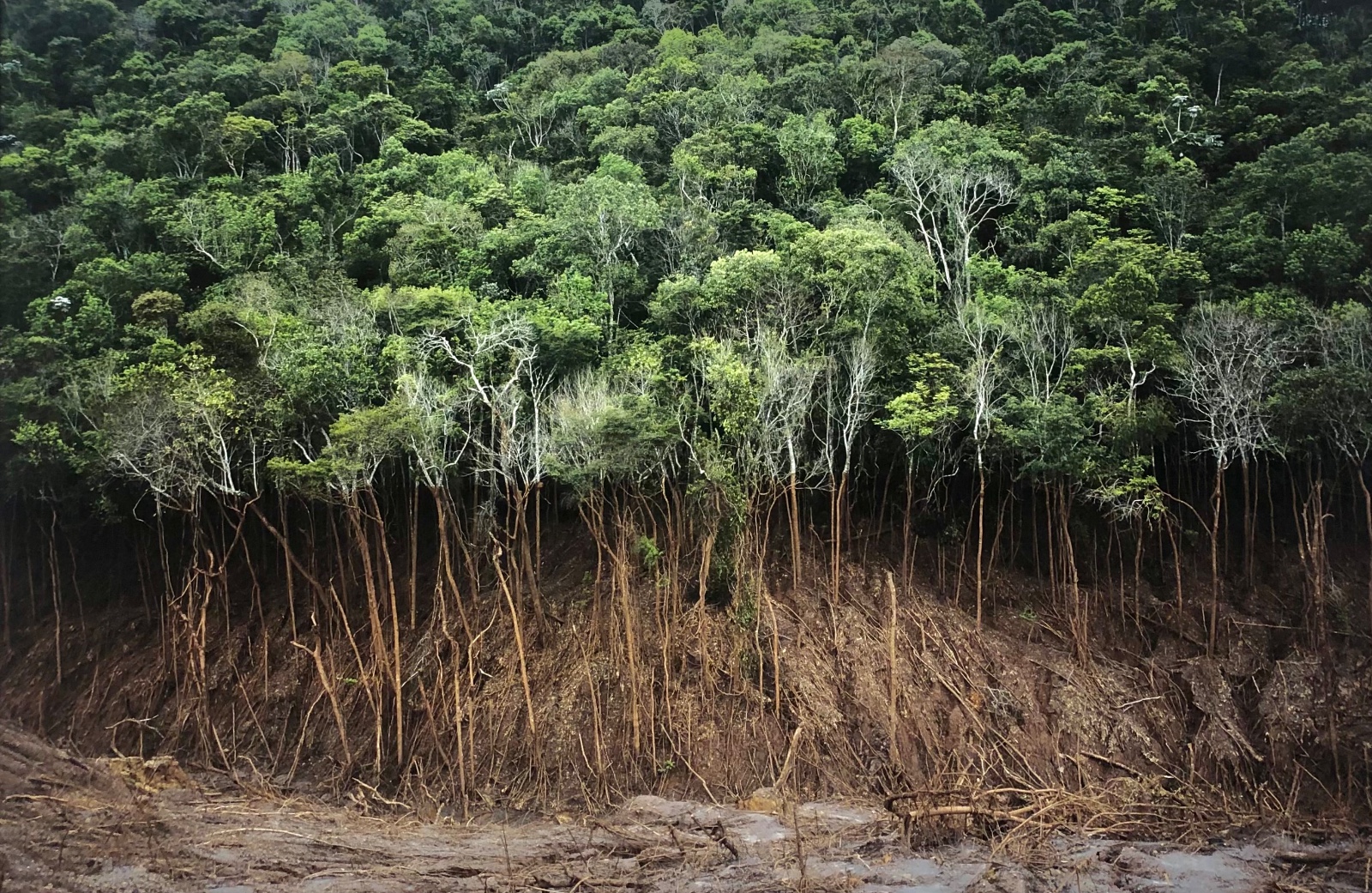 Paisagem de Mariana. - foto 1 de 3