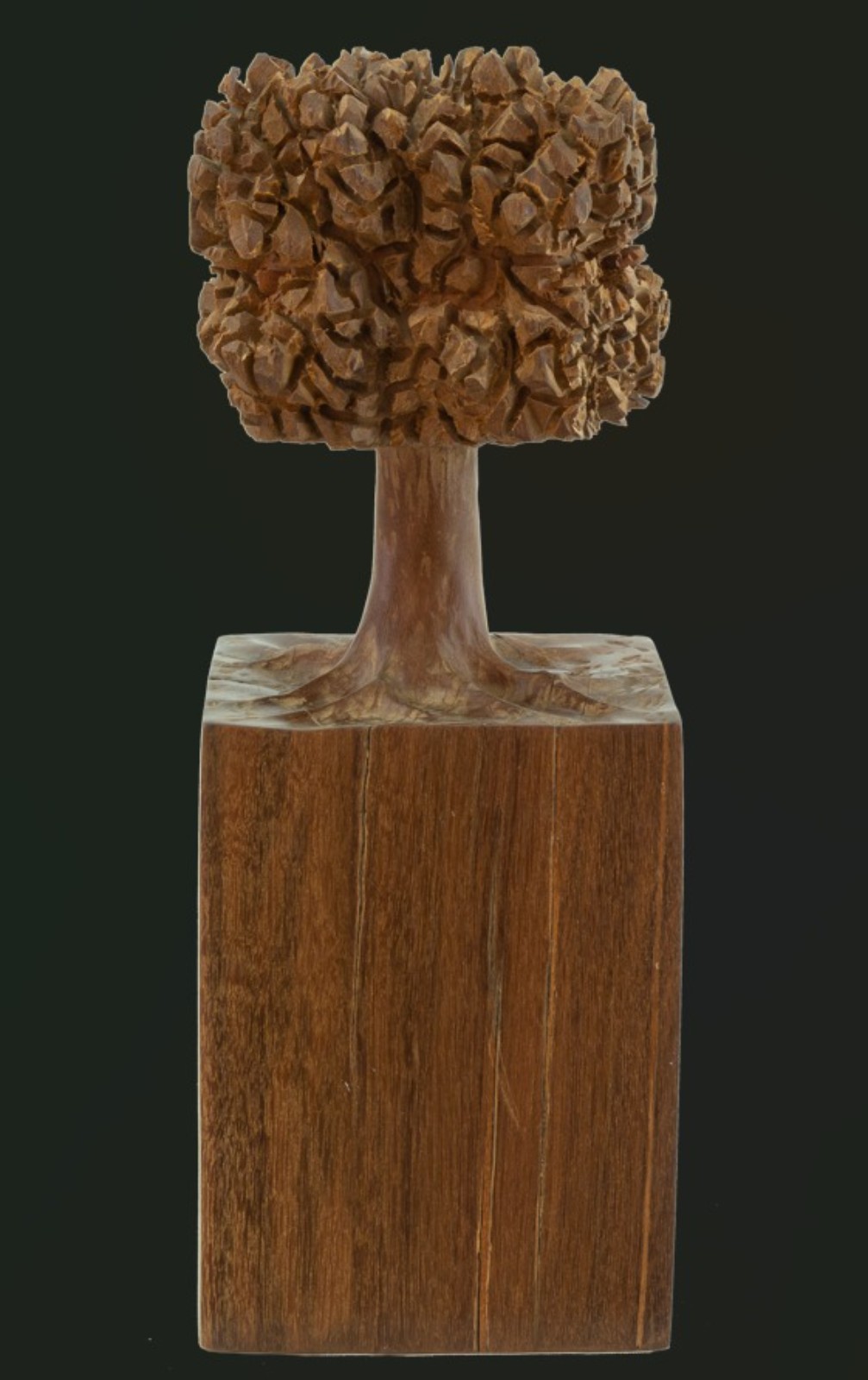 José Bento (1962), Árvore - foto 2 de 2