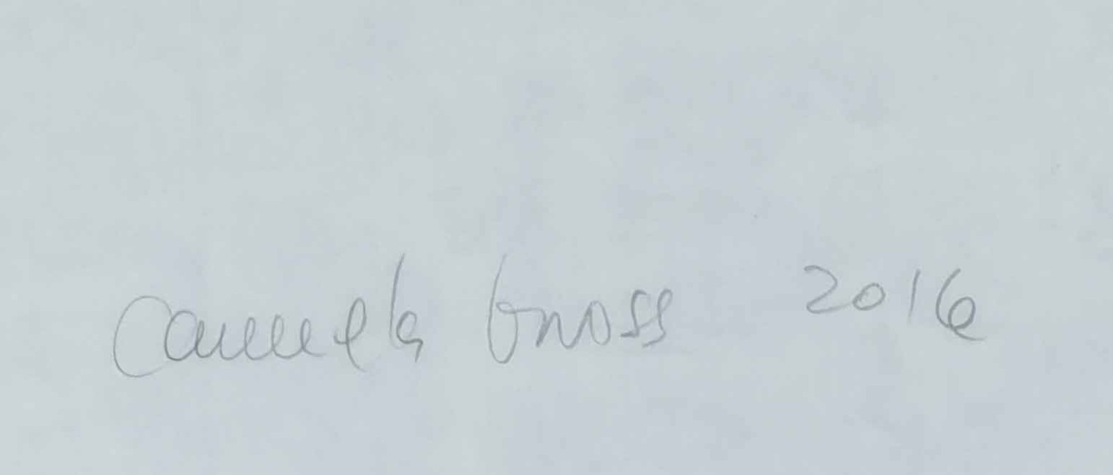 Blue, 2016 - foto 2 de 3