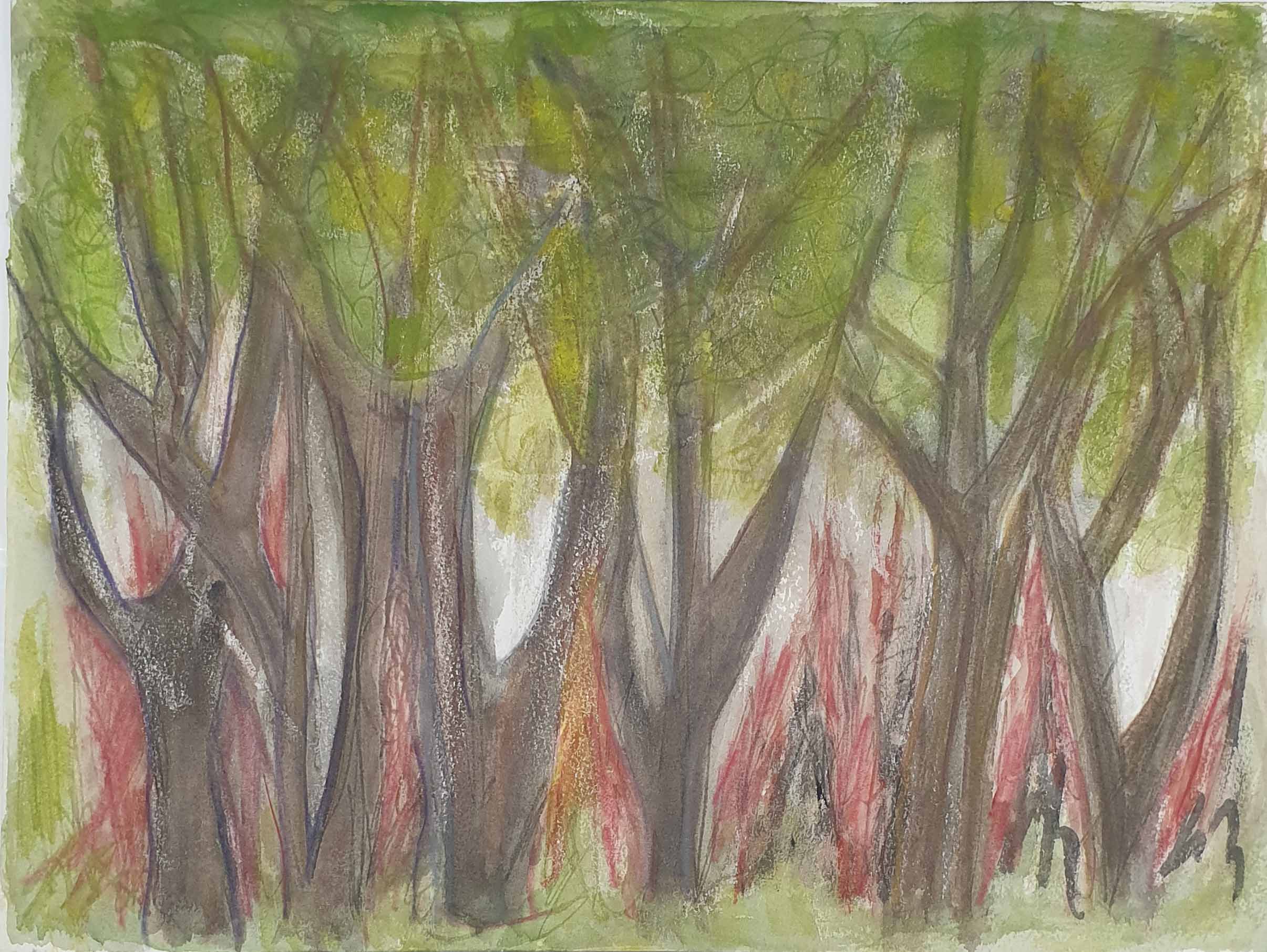 Floresta