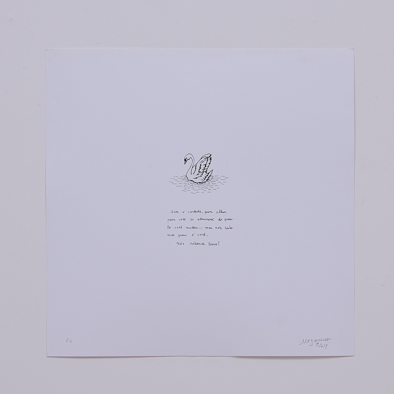 Cisne, 2014
