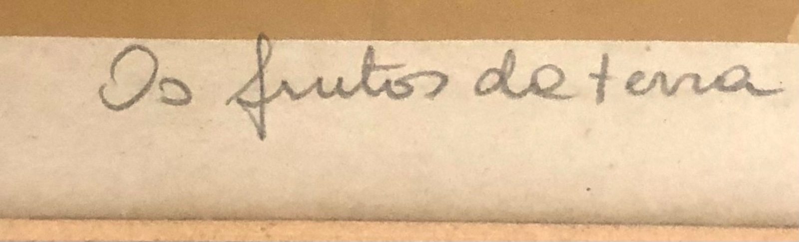 Pietrina Checcacci (1941), Os frutos da Terra, 1983 - foto 5 de 6
