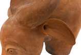Tiago Olinda, 1943 - Boi, 2004<br>Grande escultura em terracota representando o animal.