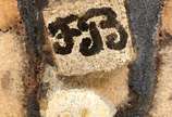 Francisco Brennand (1927-2019), Sem título, 1986 - Placa em cerâmica e terracota policromada. <br>Ass. na peça.
