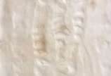 Frans Krajcberg (1921-2017),  - Papel em relevo <br>Ass. inf. direito e datado 76<br>Edição 1 de 10 