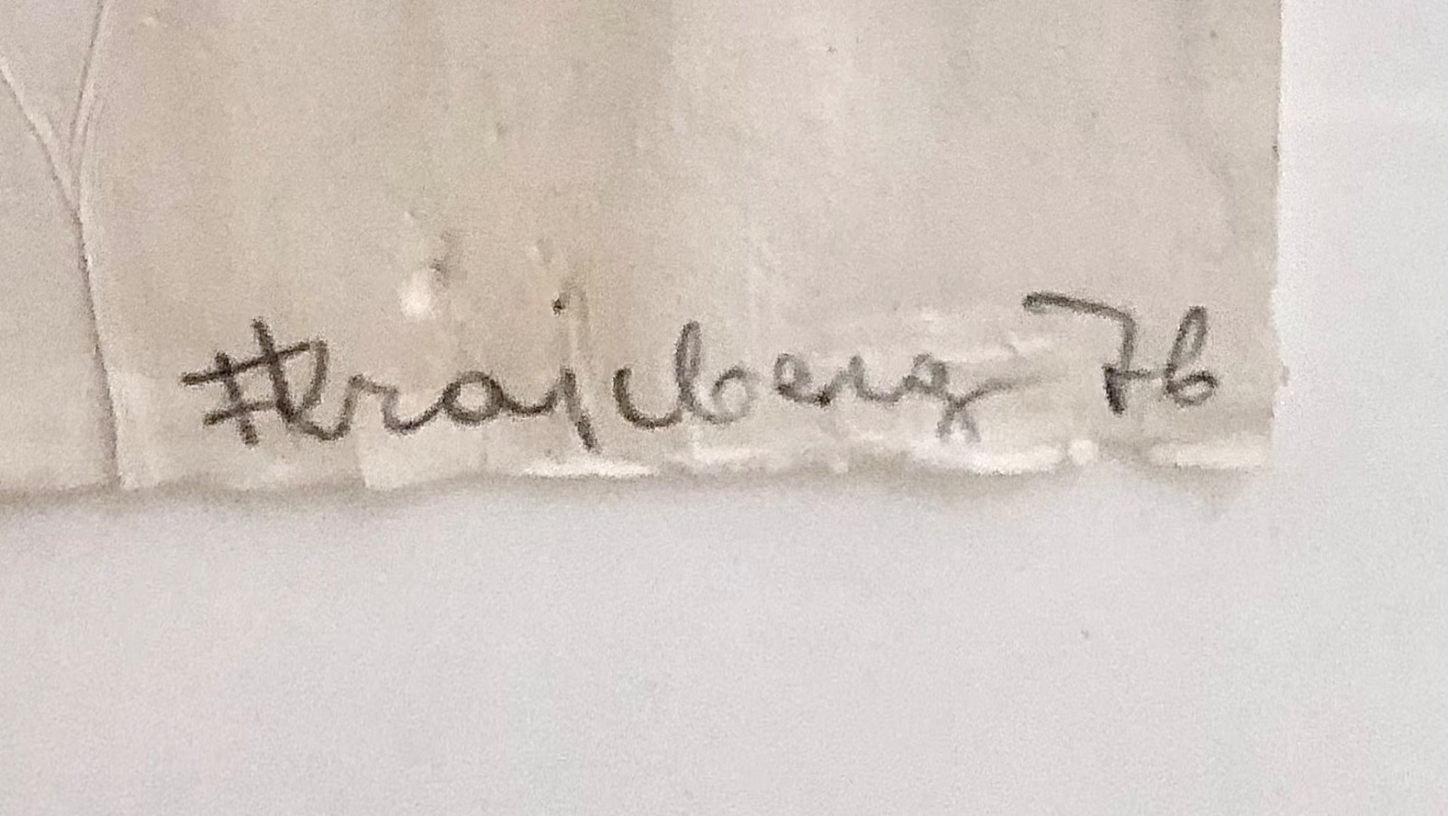 Frans Krajcberg (1921-2017) - foto 4 de 5