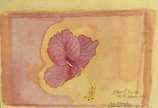 Glauco Rodrigues (1929-2004), Flor, 2000 - Aquarela s/ cartão <br>Ass. inf. direito <br>com dedicatoria do artista 