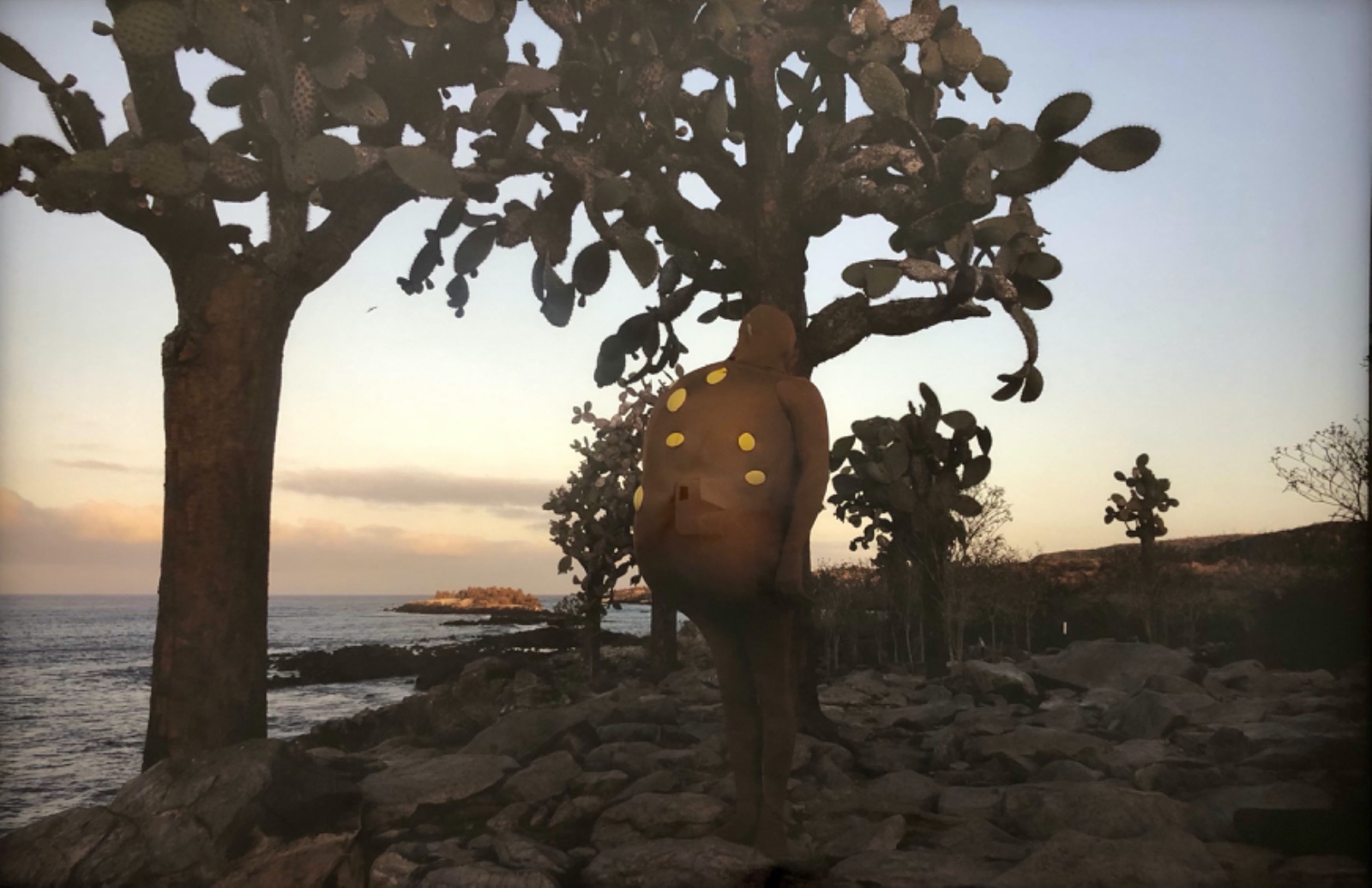 Janaina Tschäpe (1973), Dawn in Galapagos, 2018 - foto 1 de 3
