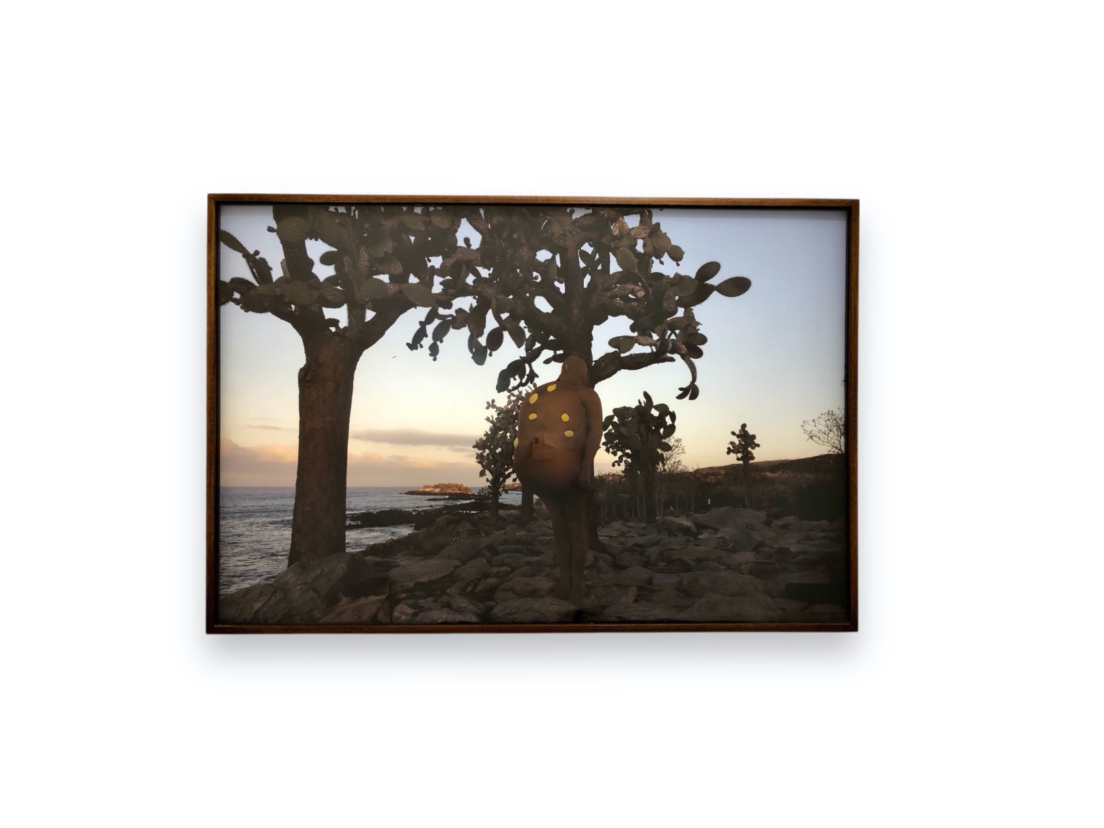 Janaina Tschäpe (1973), Dawn in Galapagos, 2018 - foto 2 de 3