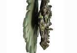 Frans Krajcberg (1921-2017), Flor verde  - Escultura de parede <br>Ass. F.K