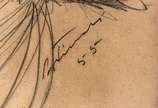 Cândido Portinari (1903-1962), cabeça, 1955 - Desenho a grafite s/ papel<br>Ass. inf. direito 