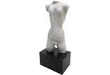 Bruno Giorgi (1905-1993), Torso  - Escultura em mármore <br>Ass. na peça 