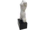Bruno Giorgi (1905-1993), Torso  - Escultura em mármore <br>Ass. na peça 