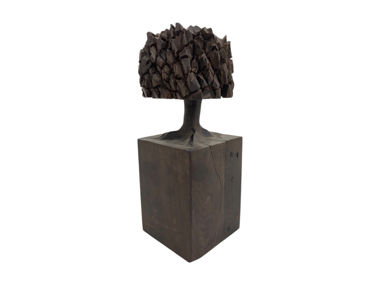 José Bento (1962), Árvore - foto 5 de 8