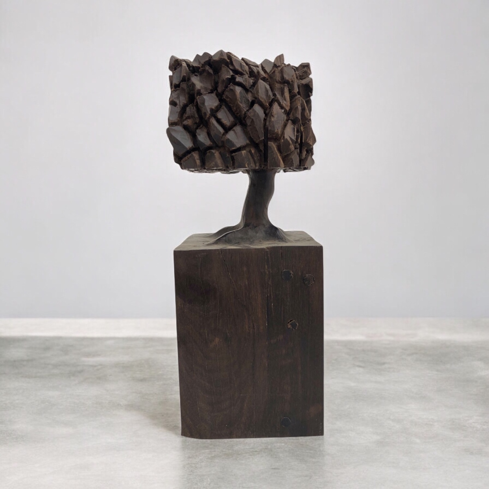 José Bento (1962), Árvore - foto 1 de 8