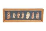 Celeida Tostes (1929 - 1995), Amassadinhos, déc... - Caixa de madeira com sete esculturas da série  "amassadinhos" produzidas em barro.<br>Ex. Col. Carlos Alexandre Ferreira<br>Caixa 13,5 x 41 x 5 ...
