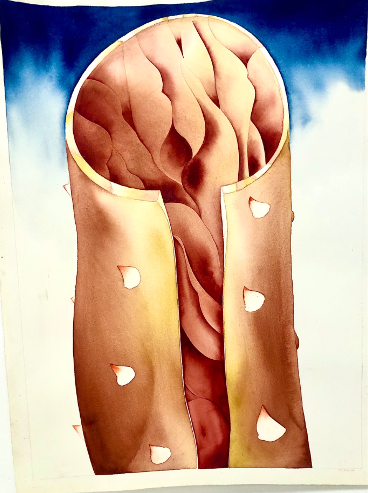 Pietrina Checcacci (1941), Sem título, 2007 - foto 1 de 5