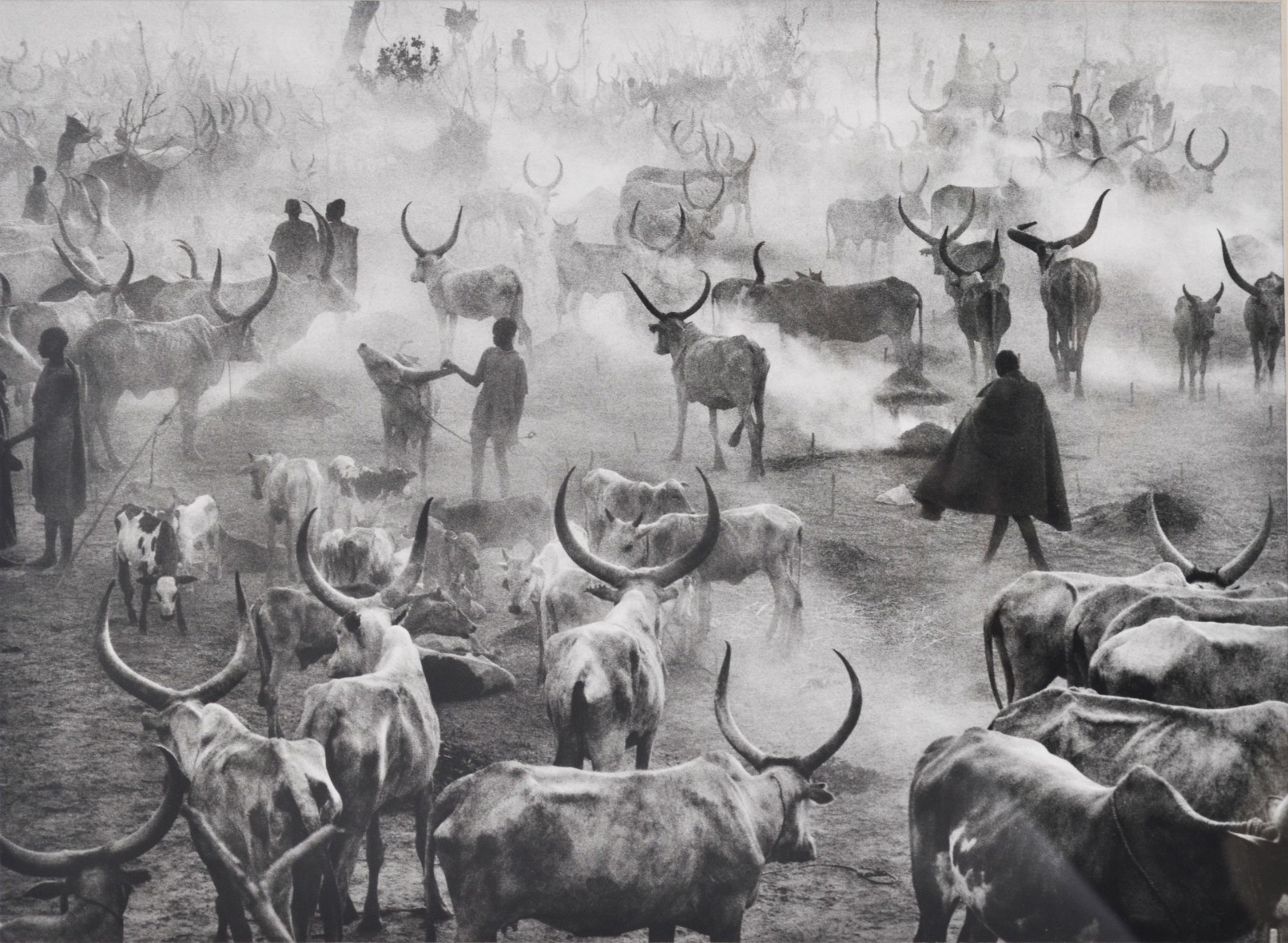 Sebastião Salgado (1944-2025), Genesis - Kei, Southern Sudan, 2006 - foto 2 de 4