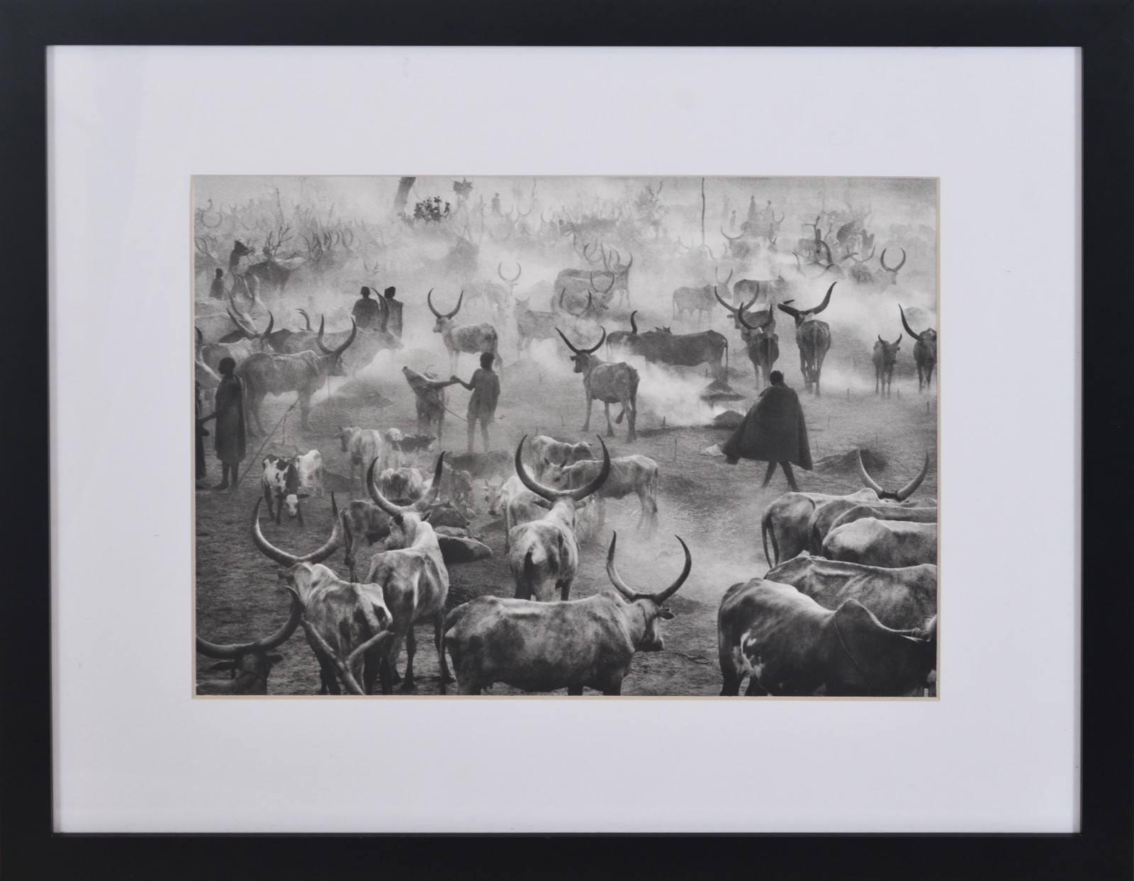 Sebastião Salgado (1944-2025), Genesis - Kei, Southern Sudan, 2006 - foto 1 de 4