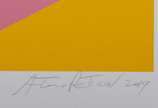 Antonio Peticov (1946), CONCRETO COLORIDO - Serigrafia <br>Ass. inf. direito<br>P.I<br>