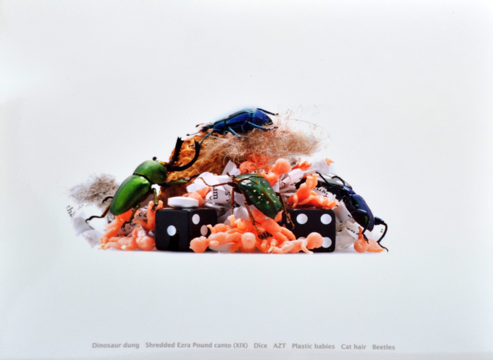  Vik Muniz (1961), Mounds, 2005 - foto 3 de 7