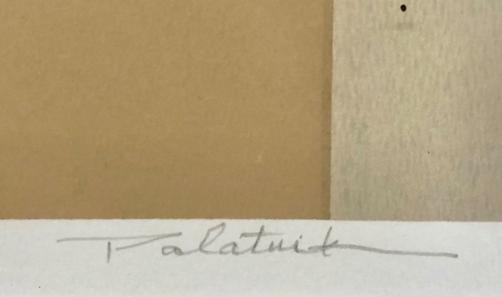 Abraham Palatnik (1928-2020) - foto 3 de 5