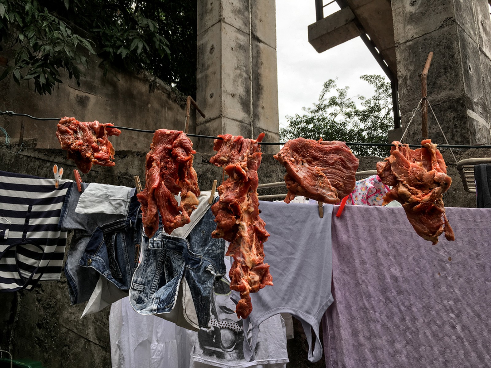 Elana Paulino (1982), VARAL DE CARNE, 2016