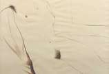 Enrico Bianco (1918-2013), Nú, 1940 - Técnica mista s/ papel<br>Ass. inf. esquerdo