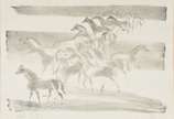 Lívio Abramo (1903-1993), Cavalos, 1979 - Litografia<br>Ass. inf. esquerdo<br>Ed. 5 de 50